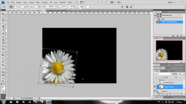 Creation of fractal daisy: Step 3